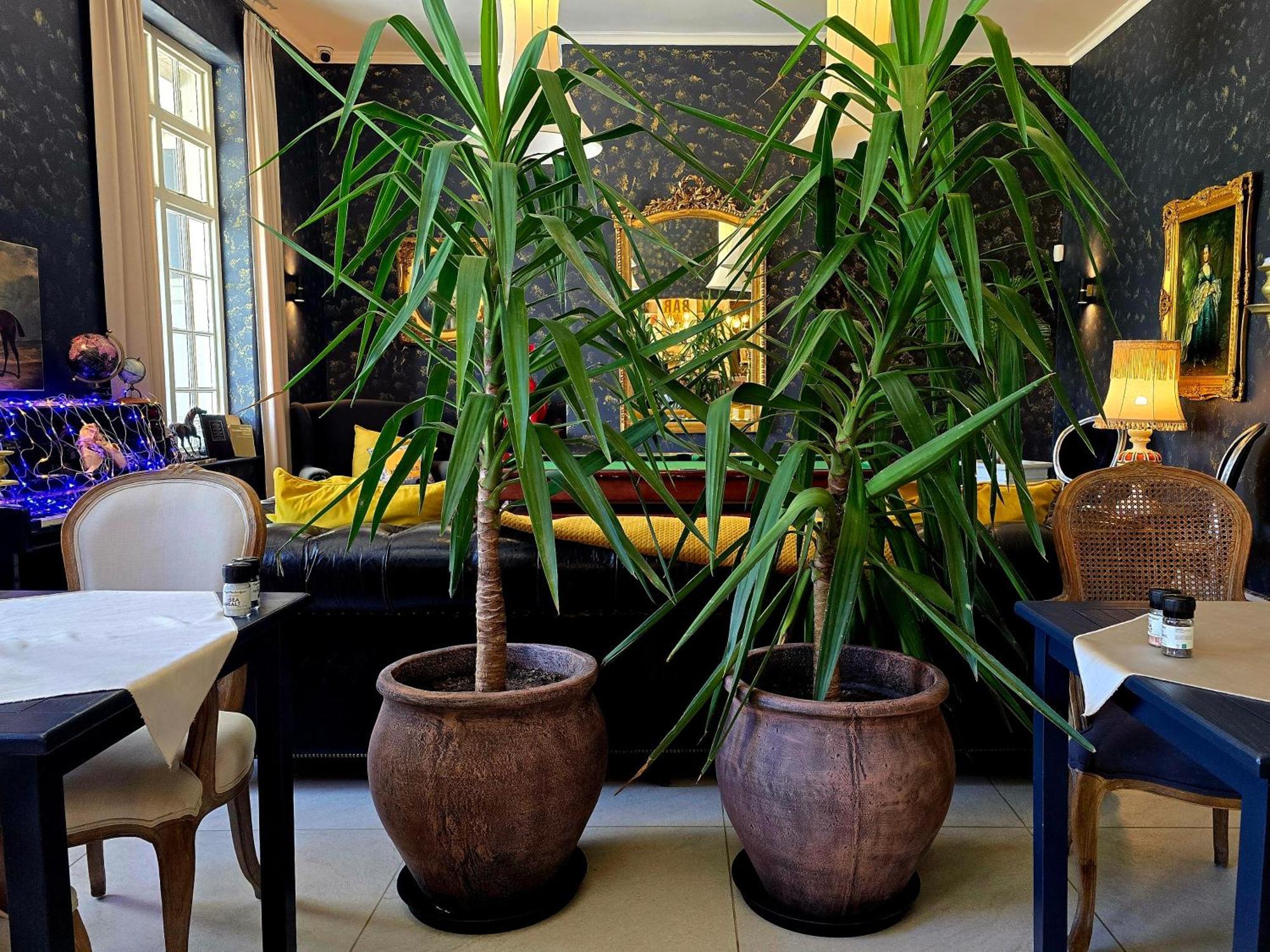Pjure Boutique Hotel & Spa Montagu Kültér fotó